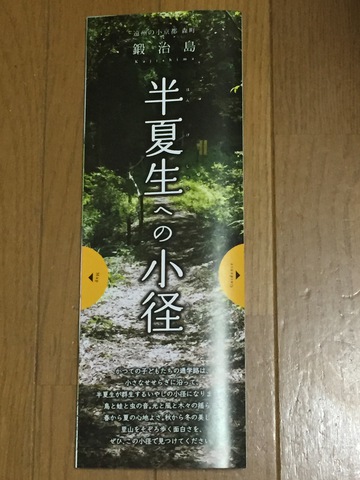 半夏生の小径
