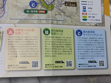 半夏生の小径