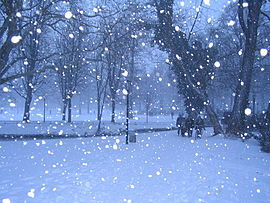 雪……浜松市西区は雨