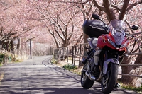 出るのか！？ リトルMVアグスタ│MOTOARCADIAのときドキッ
