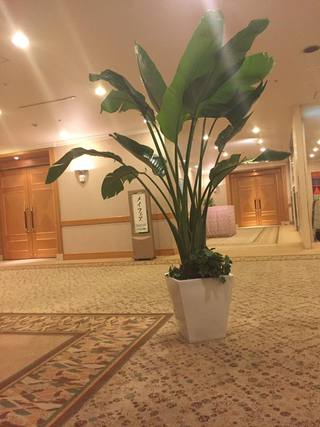 モトックス　試飲会に参加