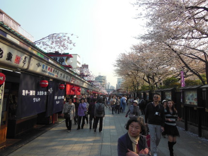 東京２大スポットツアー旅行③