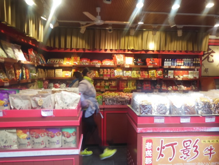 中国四川研修　錦里