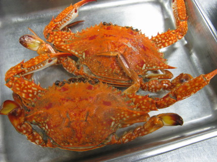 浜名湖産青のりとかにの青梗菜煮込み