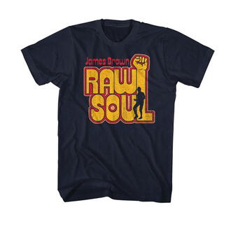 ★ジェームス ブラウン Tシャツ James Brown Famous Flames 正規品 #SoulMusic