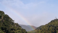 今朝は久しぶりに虹が・・・・