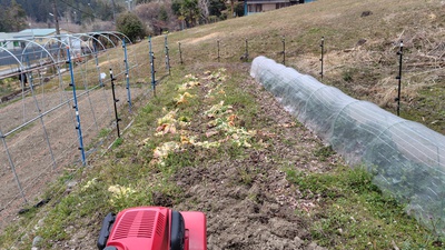 夏野菜に向けて畑の耕し・・・・