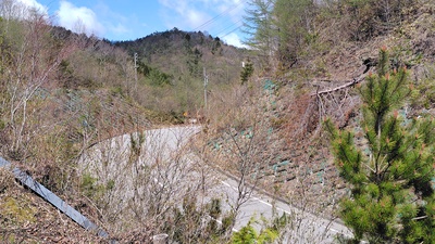 月川温泉の花桃は満開でした・・・・No.1