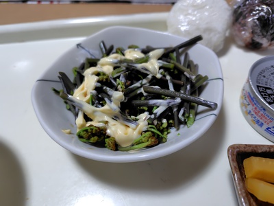 ワラビを収穫しました
