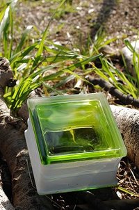 草萌える 2009/02/17 09:18:00