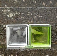 苔と石段と二つのガラス 2009/02/26 07:56:00