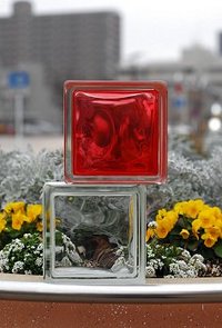 赤い花白い花 2009/02/27 07:57:00