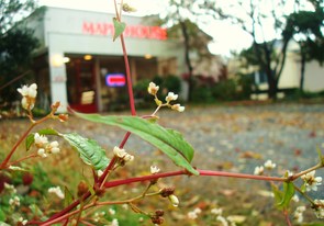年末年始の休業日