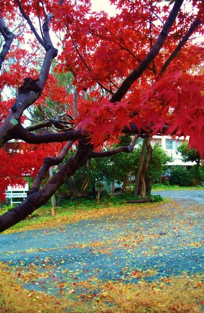 年末年始の休業日