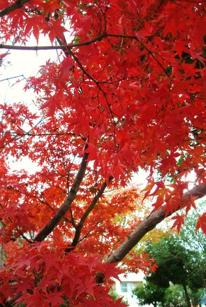 年末年始の休業日