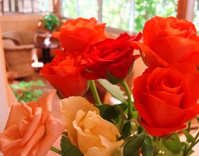 Flower✽✽✽