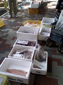 サザンクロス朝市
