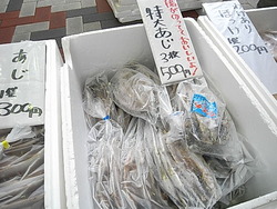 本日の