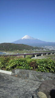動