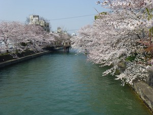 古都の春旅4～岡崎疎水とインクライン～
