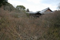 京都冬の旅　その１