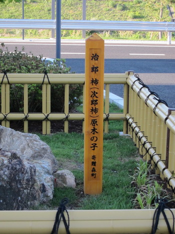 治郎柿の原木の子ども