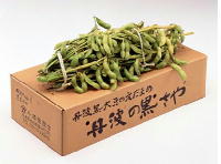 丹波黒豆の枝豆（黒さや）