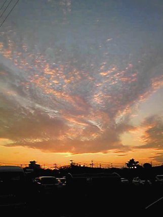 今日も　