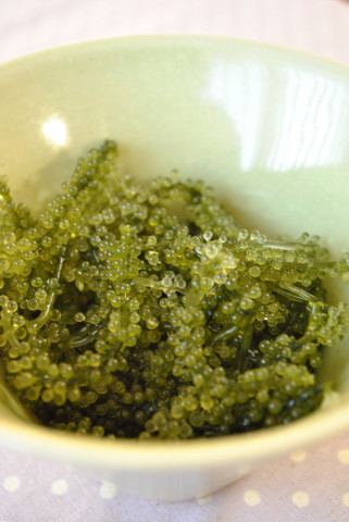 沖縄土産