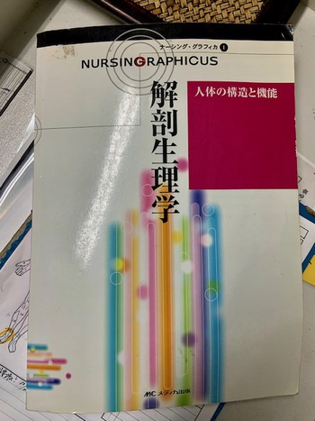 解剖学観点と経験から観た各種疾患