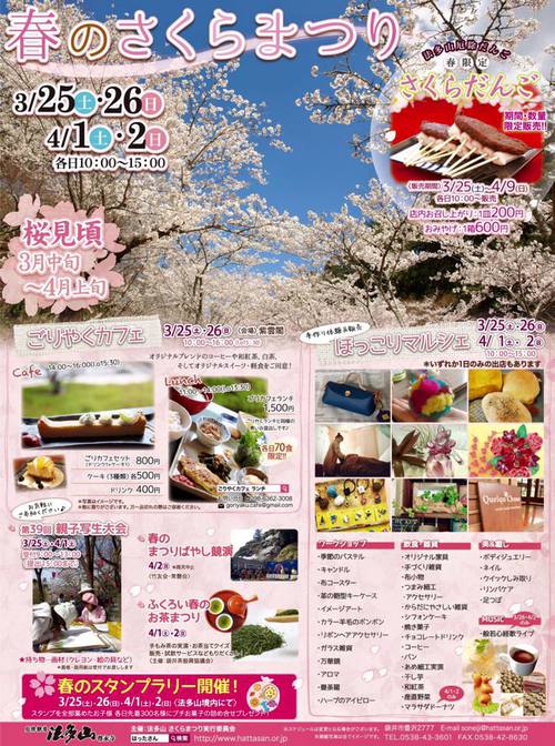●寒いけど、桜がたくさん咲きました！？