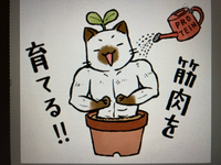 ●筋トレスタンプ近況 ～どうしてこうなった～ 2021/05/26 17:00:00