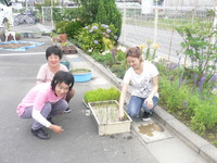 稲植え 2013/06/06 18:25:59