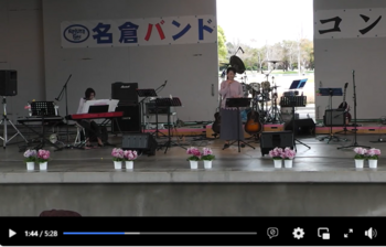 【ハナミズキ】 by ”レモンパスタ” at 『 名倉バンドコンサート in 浜名湖ガーデンパーク2017』