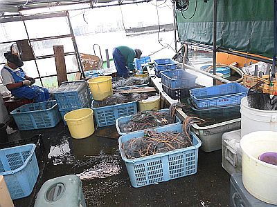 夜中の雨にびっくり