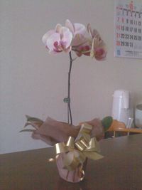 今回は… 2012/10/09 14:25:34