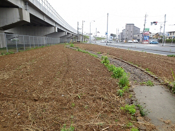 たねまき　順延