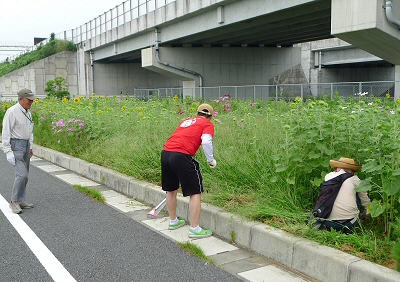 開花です！