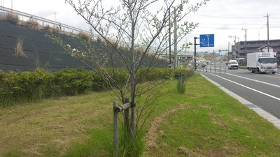 頑張って　＾＾
