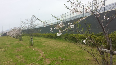 頑張って　＾＾