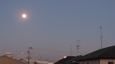 今夜のお月さま