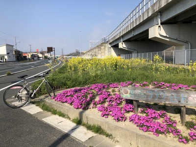 花壇のお手入れ