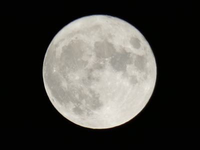 今夜は満月