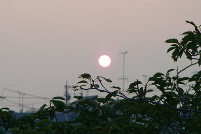 ２０１３煙火大会を振り返る（１）