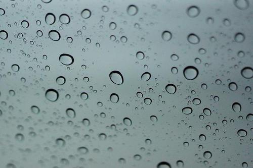今日も雨.....