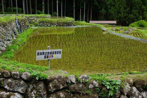 四谷の千枚田♪