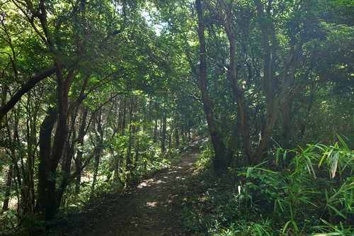 葦毛湿原・岩崎自然歩道♪