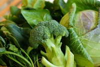 新鮮な野菜をありがとう♪