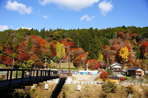 紅葉を愛でに♪