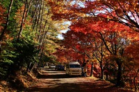 タカドヤ湿地の紅葉♪